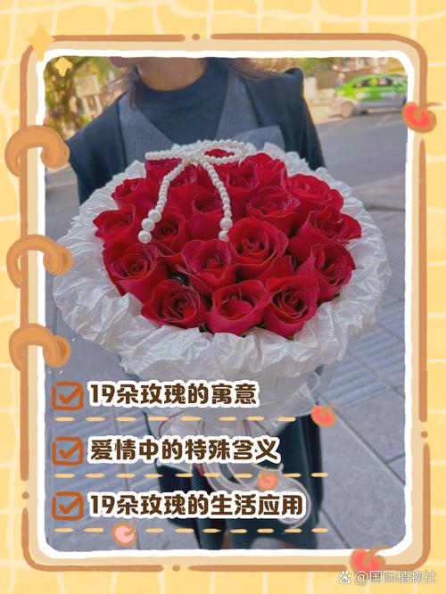 19朵玫瑰代表什么?99朵红玫瑰的花语是什么意思?-第3张图片-优品飞百科 19朵玫瑰代表什么?99朵红玫瑰的花语是什么意思?-第3张图片-优品飞百科