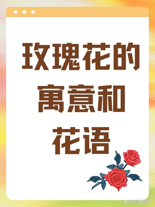 19朵玫瑰代表什么?99朵红玫瑰的花语是什么意思?-第5张图片-优品飞百科 19朵玫瑰代表什么?99朵红玫瑰的花语是什么意思?-第5张图片-优品飞百科