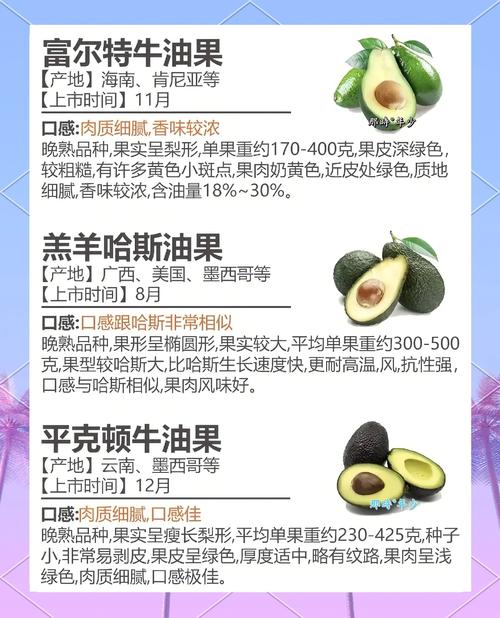 牛油果怎么挑选，牛油果怎么保存，牛油果怎样挑选才好?-第2张图片-优品飞百科