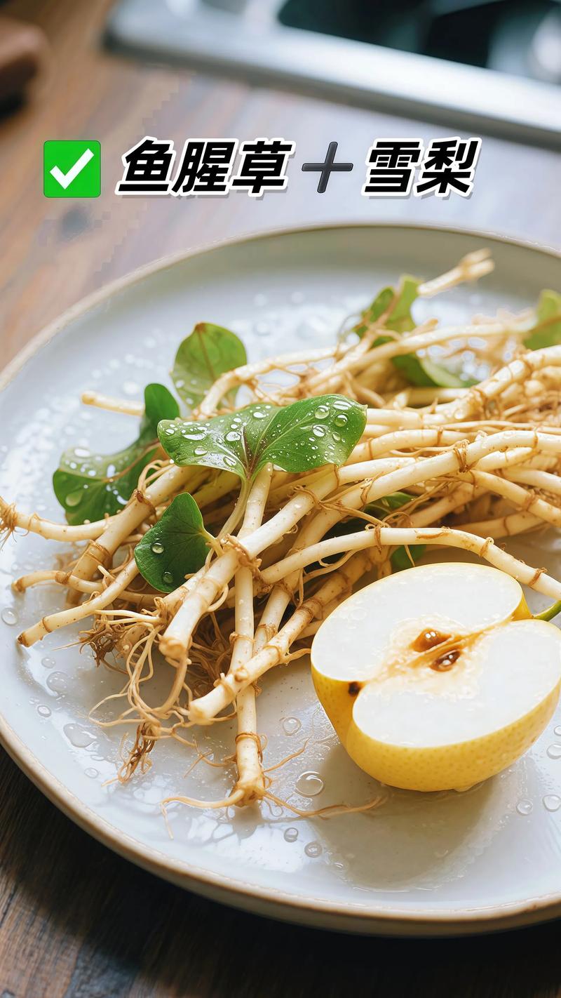 鱼腥草的做法,鱼腥草的味道大吗,食材_鱼腥草的做法大全窍门-第1张图片-优品飞百科 鱼腥草的做法,鱼腥草的味道大吗,食材_鱼腥草的做法大全窍门-第1张图片-优品飞百科