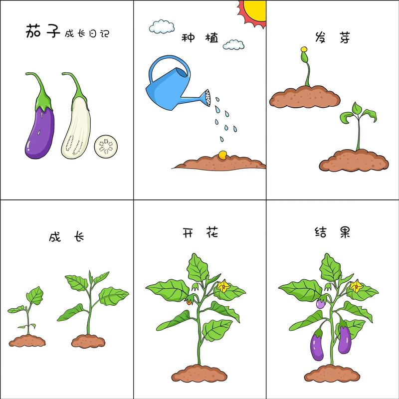 在艰苦恶劣环境下生长的植物，在恶劣环境中顽强生长的植物作文500字？-第7张图片-优品飞百科