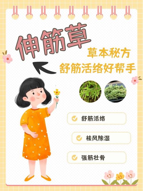 透骨草的功效与作用，透骨草的功效与作用?-第5张图片-优品飞百科