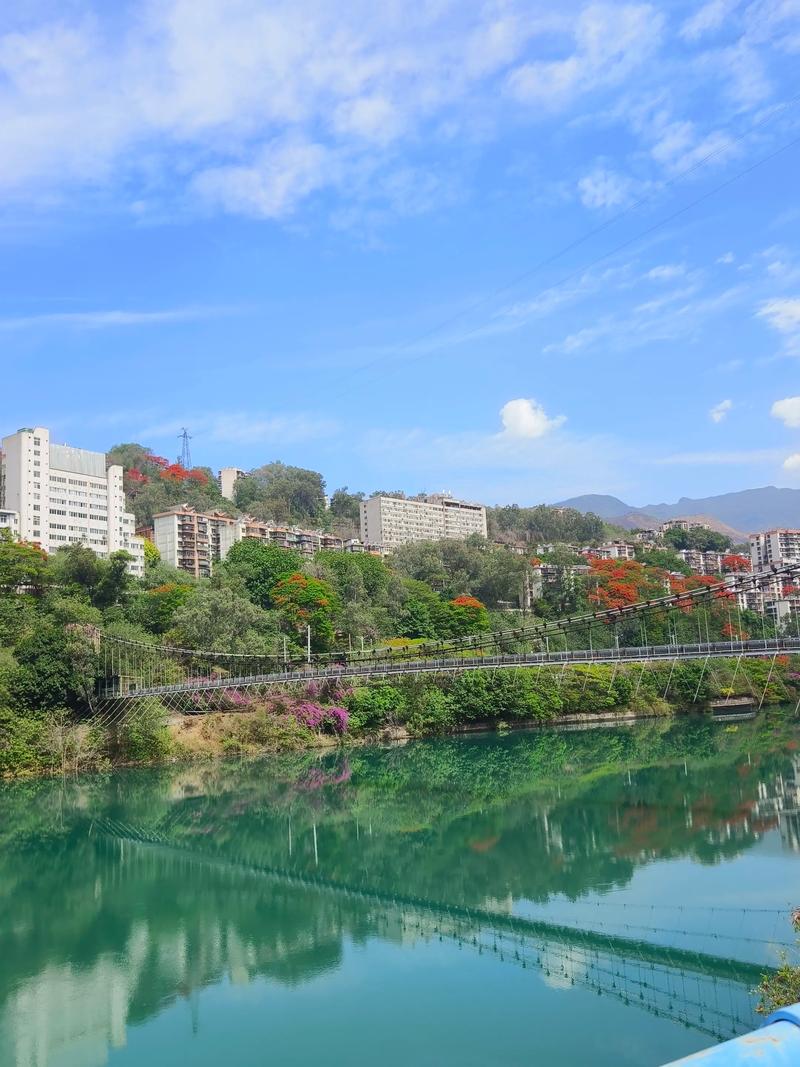 绵阳适合养什么花，市花和市树是什么，绵阳有哪些可以赏花的地方-第5张图片-优品飞百科