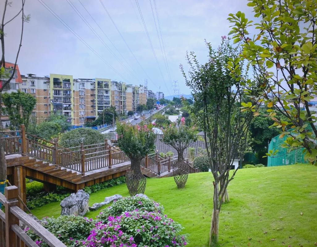 绵阳适合养什么花，市花和市树是什么，绵阳有哪些可以赏花的地方-第6张图片-优品飞百科