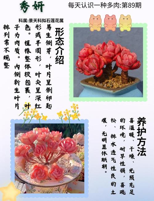 莲花繁殖方式,莲花能自己在家繁殖吗,莲花要怎么养活??-第7张图片-优品飞百科 莲花繁殖方式,莲花能自己在家繁殖吗,莲花要怎么养活??-第7张图片-优品飞百科