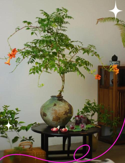 农村庭院不宜种凌霄花的原因，庭院可以种凌霄花吗？-第6张图片-优品飞百科