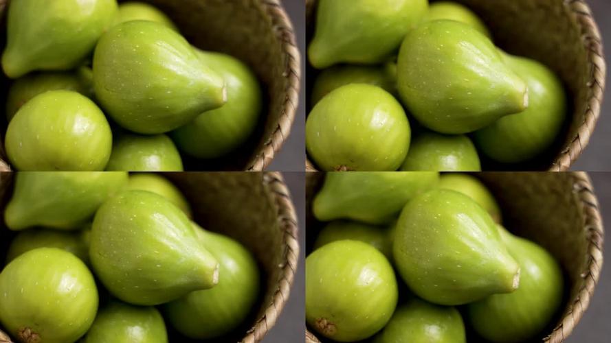 紫竹梅花在屋里养对人体有害吗？紫竹梅花在屋里养对人体有害吗视频？-第7张图片-优品飞百科