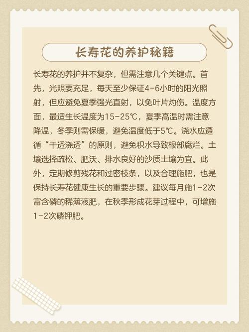 长寿花的花语及含义？长寿 花语？-第2张图片-优品飞百科