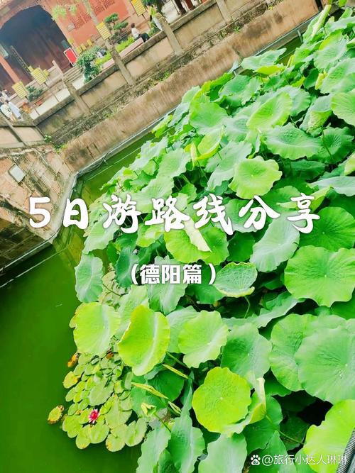 罗江区天气预报，罗江区天气预报15天今天几点下雨？-第2张图片-优品飞百科