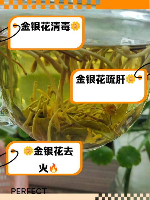 金银花的功效与作用，金银花泡水喝的功效，金银花泡水喝的功效有哪些？-第1张图片-优品飞百科