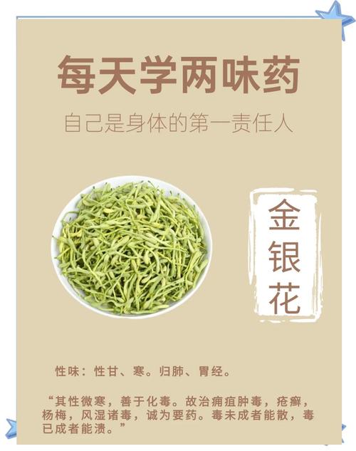金银花的功效与作用，金银花泡水喝的功效，金银花泡水喝的功效有哪些？-第3张图片-优品飞百科