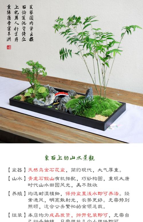 微景观的养殖方法和注意事项？微景观养殖要注意什么？-第2张图片-优品飞百科