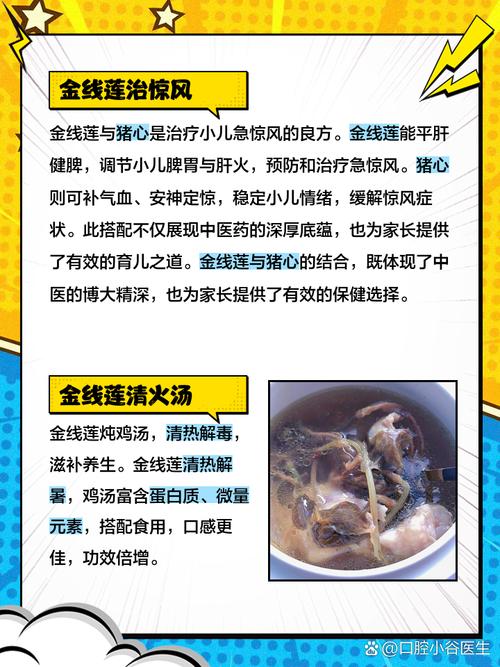 金线莲的吃法和功效,金线莲的吃法和功能主治-第2张图片-优品飞百科 金线莲的吃法和功效,金线莲的吃法和功能主治-第2张图片-优品飞百科