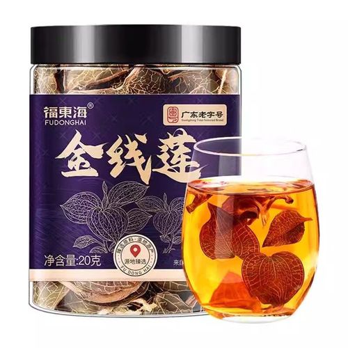 金线莲的吃法和功效,金线莲的吃法和功能主治-第4张图片-优品飞百科 金线莲的吃法和功效,金线莲的吃法和功能主治-第4张图片-优品飞百科