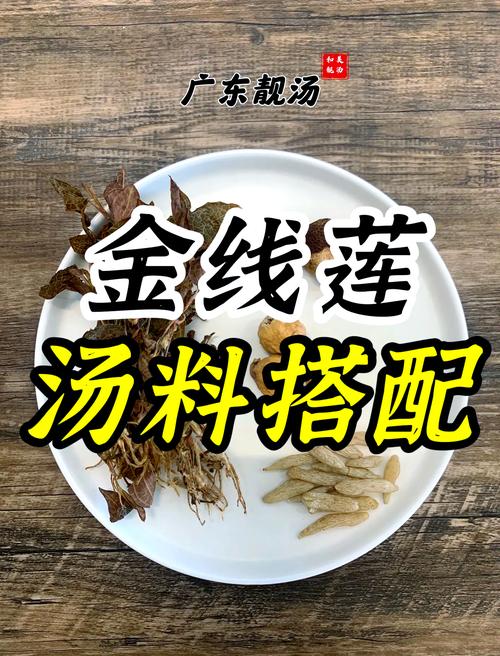 金线莲的吃法和功效,金线莲的吃法和功能主治-第5张图片-优品飞百科 金线莲的吃法和功效,金线莲的吃法和功能主治-第5张图片-优品飞百科