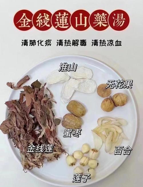 金线莲的吃法和功效,金线莲的吃法和功能主治-第6张图片-优品飞百科 金线莲的吃法和功效,金线莲的吃法和功能主治-第6张图片-优品飞百科