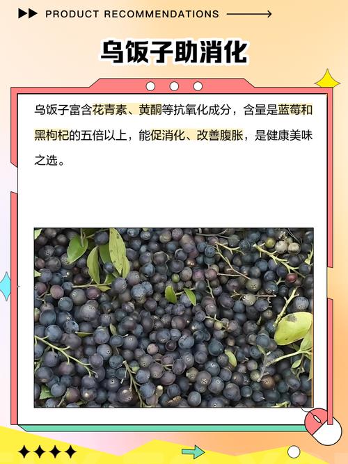 乌饭子怎么泡酒,这样绝对好喝健康!,乌饭子效果图-第2张图片-优品飞百科 乌饭子怎么泡酒,这样绝对好喝健康!,乌饭子效果图-第2张图片-优品飞百科