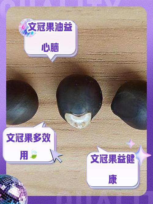 文冠果能吃吗，文冠果能吃吗对身体有什么好处-第6张图片-优品飞百科