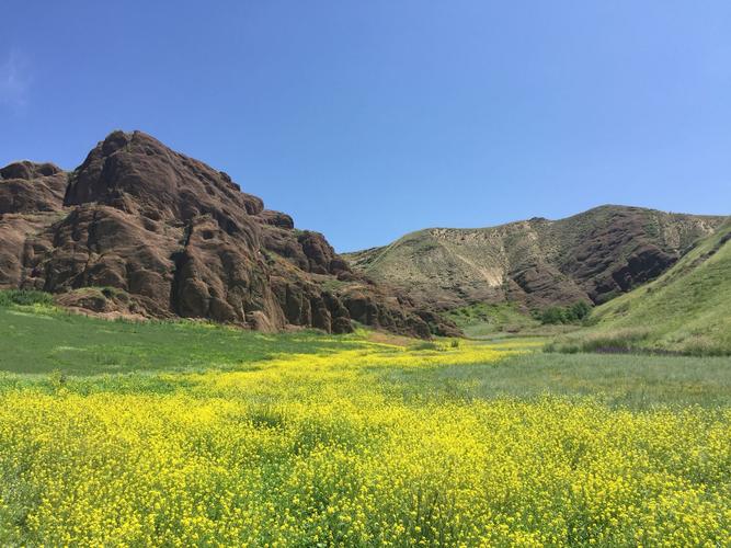 塔城地区天气预报，塔城地区天气预报下载-第3张图片-优品飞百科