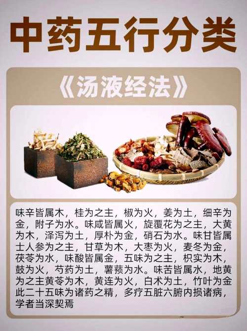 五行草的功效与作用？五行草有哪五种颜色？-第1张图片-优品飞百科