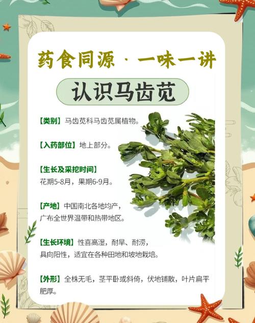 五行草的功效与作用？五行草有哪五种颜色？-第3张图片-优品飞百科