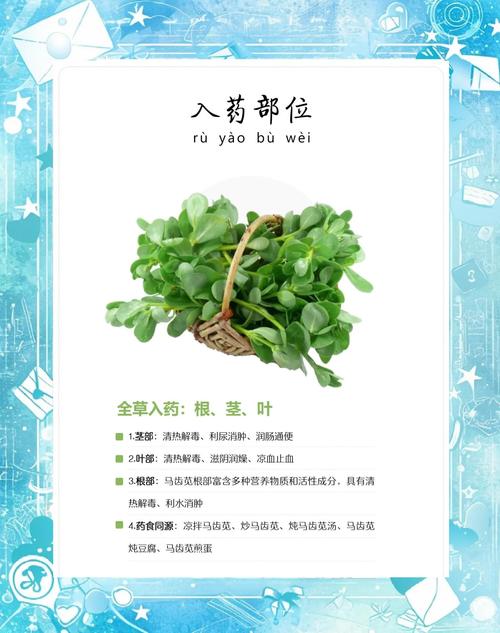 五行草的功效与作用？五行草有哪五种颜色？-第6张图片-优品飞百科