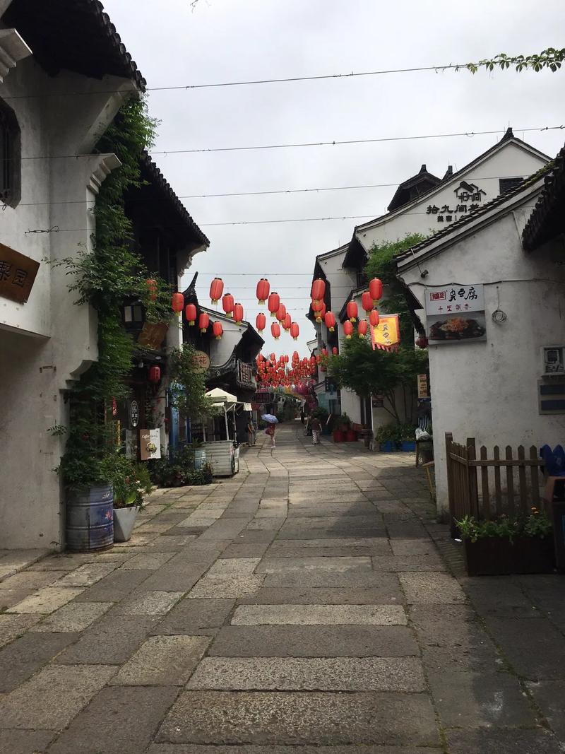 遂宁射洪天气预报，遂宁射洪天气预报40天-第4张图片-优品飞百科