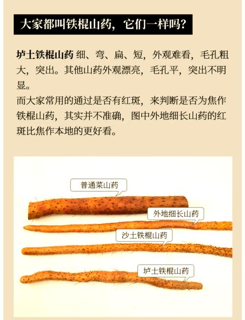 铁棍山药和普通山药的区别？铁棍山药和普通山药有啥区别？-第1张图片-优品飞百科