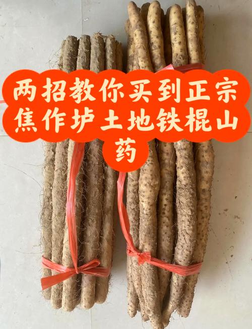 铁棍山药和普通山药的区别？铁棍山药和普通山药有啥区别？-第2张图片-优品飞百科
