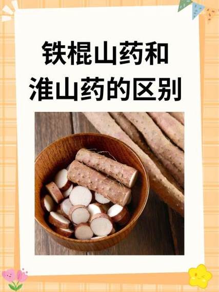 铁棍山药和普通山药的区别？铁棍山药和普通山药有啥区别？-第3张图片-优品飞百科