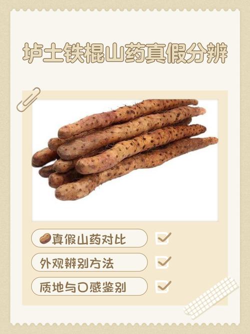 铁棍山药和普通山药的区别？铁棍山药和普通山药有啥区别？-第4张图片-优品飞百科