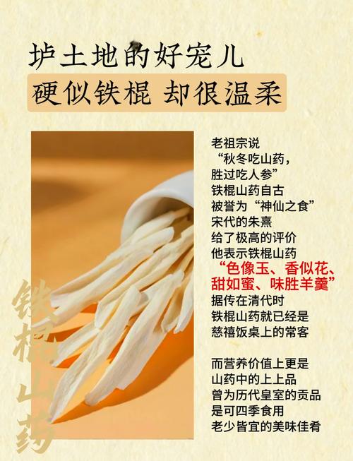 铁棍山药和普通山药的区别？铁棍山药和普通山药有啥区别？-第5张图片-优品飞百科