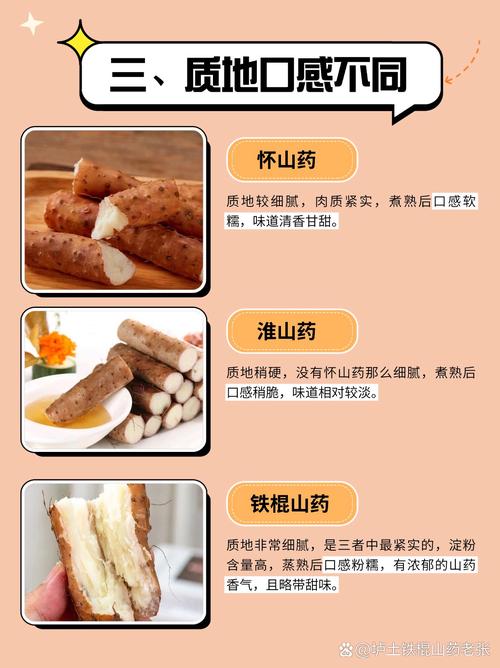 铁棍山药和普通山药的区别？铁棍山药和普通山药有啥区别？-第6张图片-优品飞百科