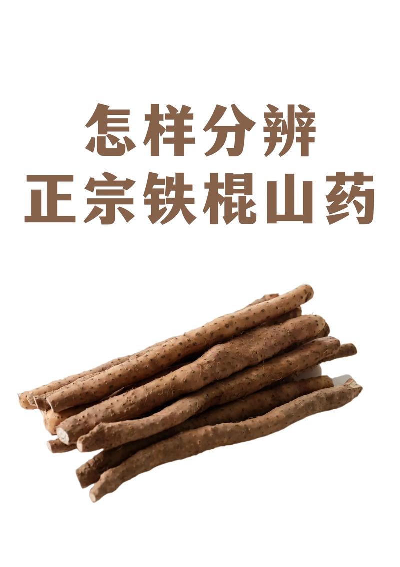 铁棍山药和普通山药的区别？铁棍山药和普通山药有啥区别？-第7张图片-优品飞百科