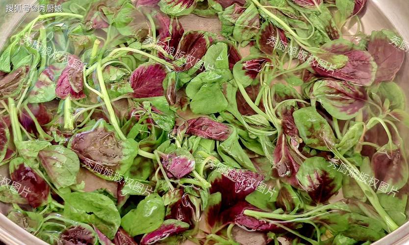 雁来红的功效和作用，雁来红怎么做好吃？-第5张图片-优品飞百科