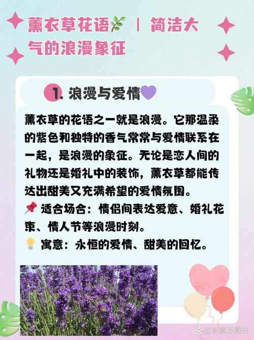 薰衣草花语，薰衣草花语和寓意？-第3张图片-优品飞百科
