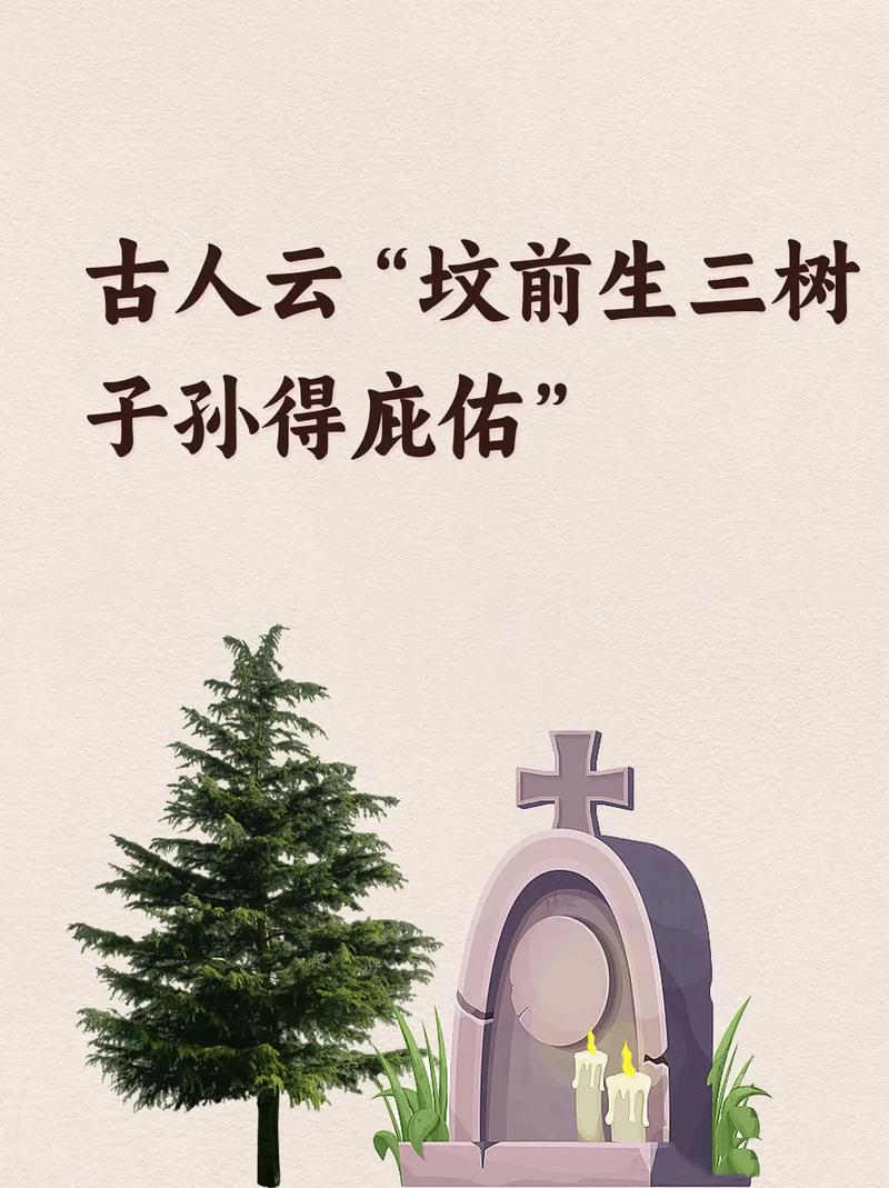 门前种三树家兴旺三代,门前种三树家兴旺三代是哪三树-第5张图片-优品飞百科 门前种三树家兴旺三代,门前种三树家兴旺三代是哪三树-第5张图片-优品飞百科