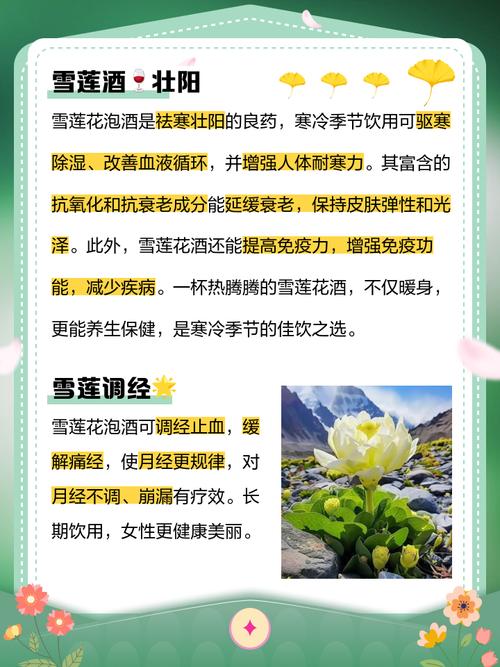 银莲花的功效和作用？银莲花又名？-第3张图片-优品飞百科