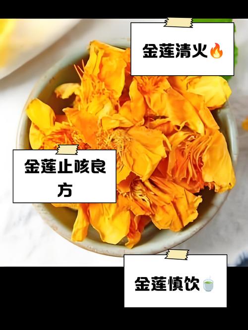 金莲花泡水喝的禁忌？金莲花泡水喝的禁忌和副作用？