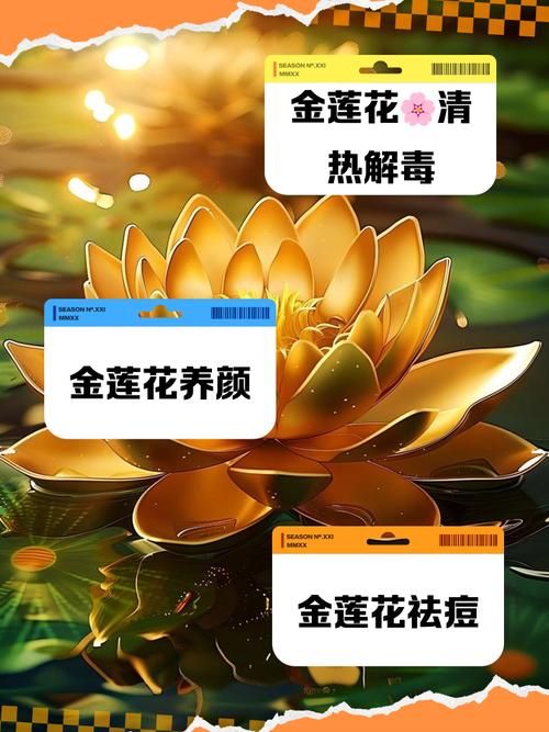 金莲花泡水喝的禁忌？金莲花泡水喝的禁忌和副作用？-第2张图片-优品飞百科