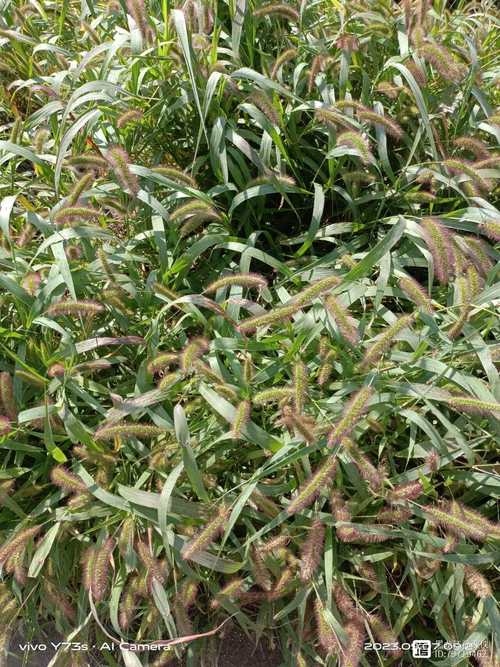 天气预报绥化，天气预报绥化海伦-第2张图片-优品飞百科