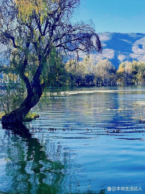 乌丹天气预报，乌丹天气预报15天查询百度-第5张图片-优品飞百科