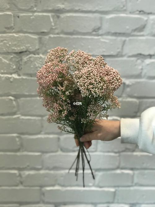 米花是什么？米花是什么颜色？-第2张图片-优品飞百科