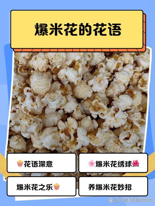 米花是什么？米花是什么颜色？-第3张图片-优品飞百科