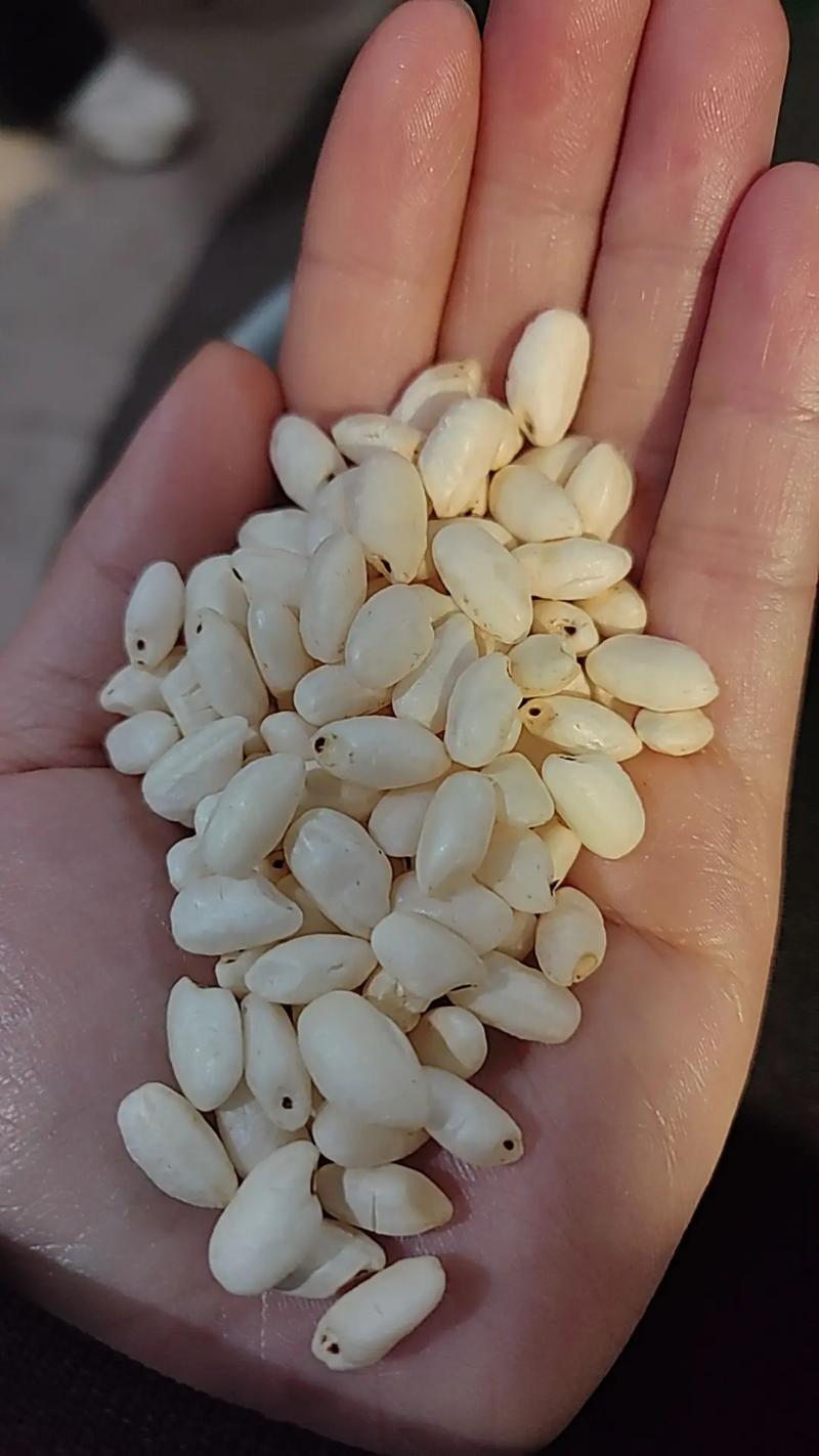 米花是什么？米花是什么颜色？-第4张图片-优品飞百科