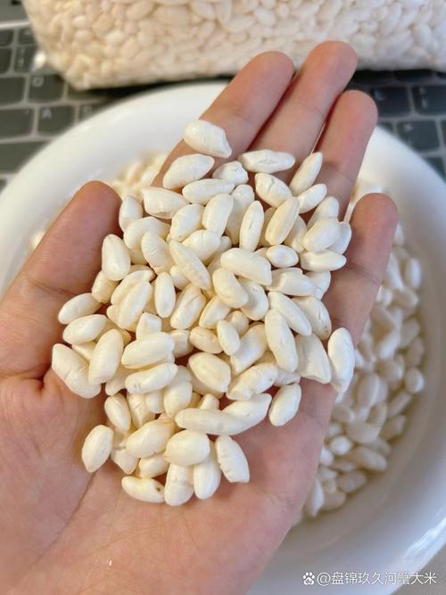 米花是什么？米花是什么颜色？-第6张图片-优品飞百科