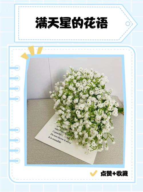 满天星适合送什么人?满天星适合送女性朋友吗?-第4张图片-优品飞百科 满天星适合送什么人?满天星适合送女性朋友吗?-第4张图片-优品飞百科