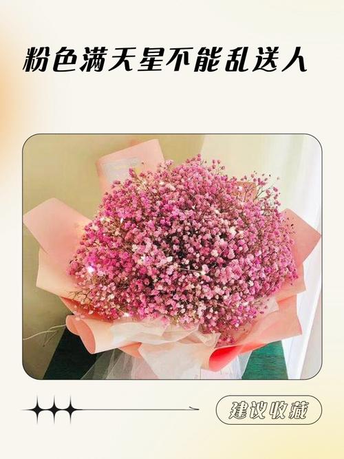 满天星适合送什么人?满天星适合送女性朋友吗?-第8张图片-优品飞百科 满天星适合送什么人?满天星适合送女性朋友吗?-第8张图片-优品飞百科