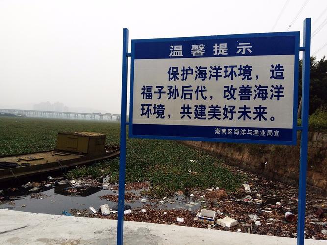 城厢区天气预报？城厢区天气预报十天？-第3张图片-优品飞百科