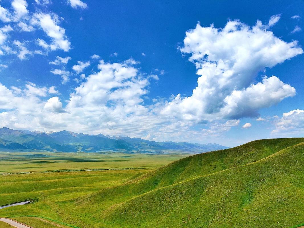 新疆新源天气预报，新疆新源天气预报查询最新-第3张图片-优品飞百科